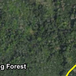 Timberdoodle HWT 2022