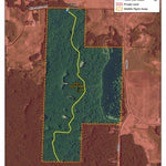 Elgin Woods WMA HWT 2022