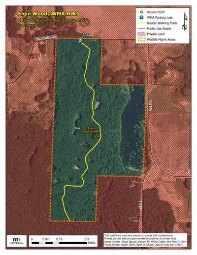 Elgin Woods WMA HWT 2022