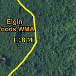 Elgin Woods WMA HWT 2022