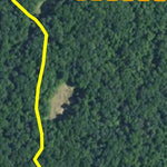 Elgin Woods WMA HWT 2022