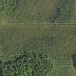 Canosia WMA (North) HWT 2022