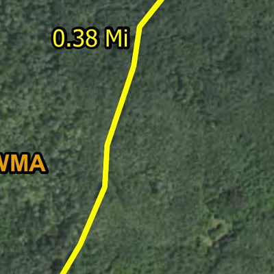 Wapiti North HWT 2022