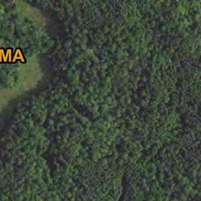 Pickerel WMA HWT 2022