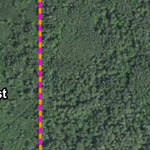 Nelson Creek HWT 2022