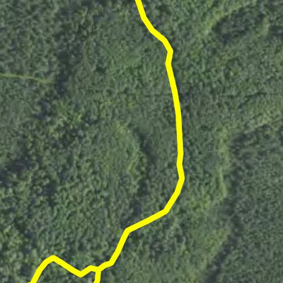 Hellwig Creek Headwaters HWT 2022
