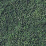 Paradise Lake HWT 2022
