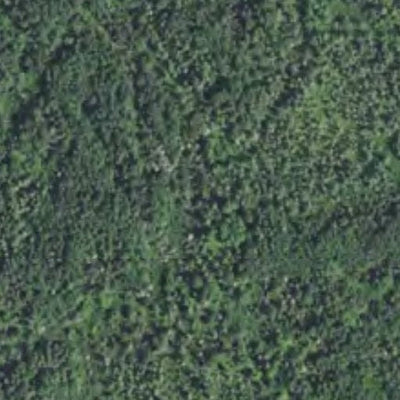 Paradise Lake HWT 2022