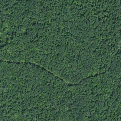 Sandstone WMA HWT 2022