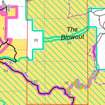 BLM CO GJFO Travel Management Map 11 Palisade