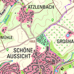 Leverkusen (1:25,000)