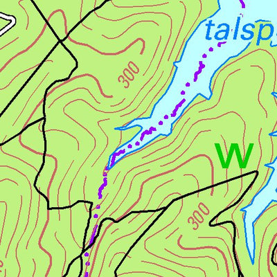 Hürtgenwald (1:100,000)