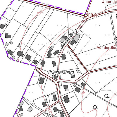 Buchholz (Westerwald) 6 (1:5,000)