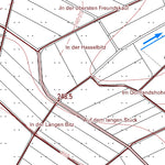 Asbach 9 (1:5,000)