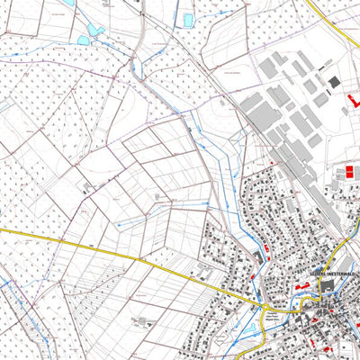 Selters (Westerwald) 1 (1:5,000)