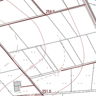 Selters (Westerwald) 1 (1:5,000)