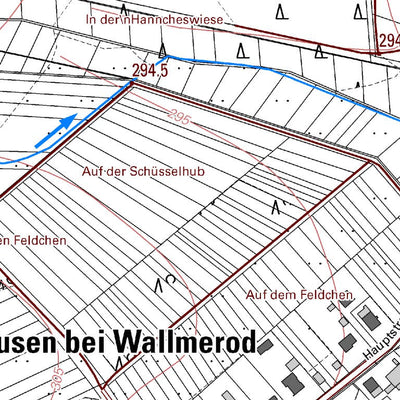 Zehnhausen bei Wallmerod (1:5,000)