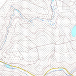 Vallendar 1 (1:5,000)