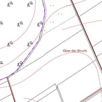 Flacht 1 (1:5,000)