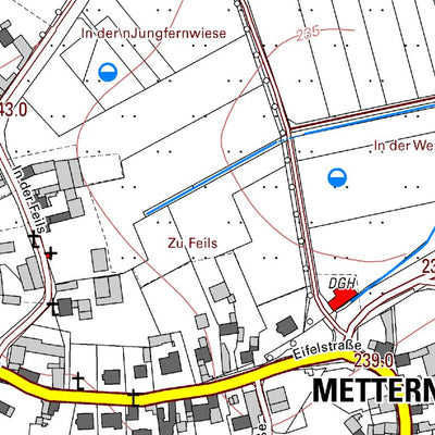 Münstermaifeld 1 (1:5,000)
