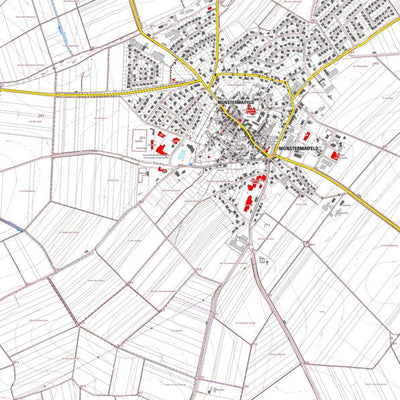 Münstermaifeld 4 (1:5,000)