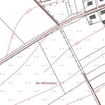 Schwirzheim 1 (1:5,000)