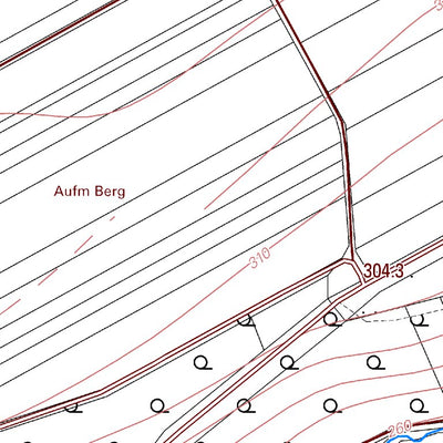 Forst (Eifel) (1:5,000)
