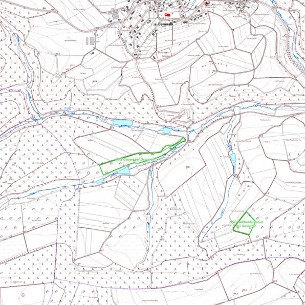 Demerath 1 (1:5,000) Map by Landesamt fur Vermessung und ...