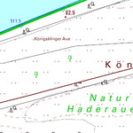 Ingelheim am Rhein 3 (1:5,000)