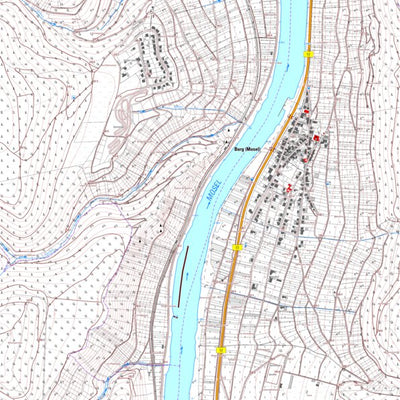 Burg (Mosel) (1:5,000)