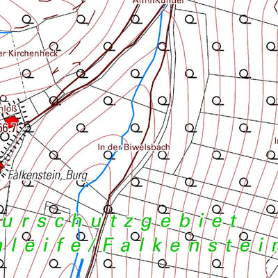 Waldhof-Falkenstein 1 (1:5,000)