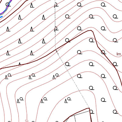 Zell (Mosel) 7 (1:5,000)