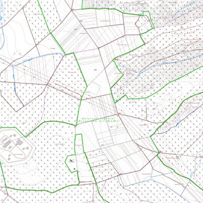 Oberdiebach 2 (1:5,000)