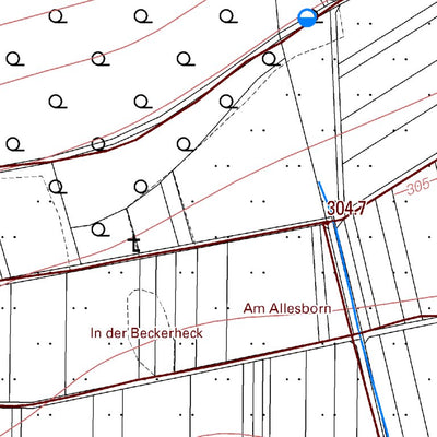 Waldalgesheim 1 (1:5,000)