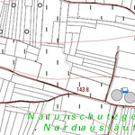 Ingelheim am Rhein 14 (1:5,000)