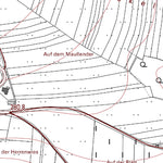 Eckenroth (1:5,000)