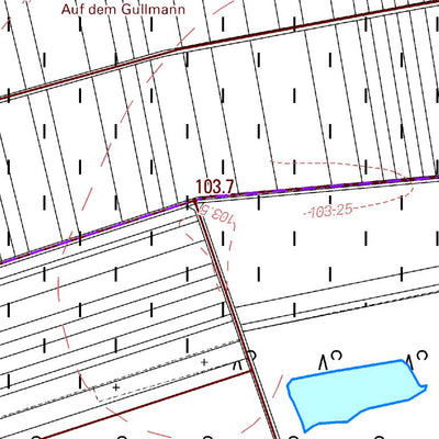 Grolsheim (1:5,000)