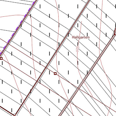 Bermersheim vor der Höhe (1:5,000)