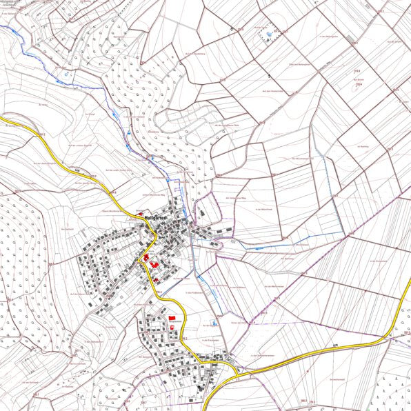 Hallgarten (1:5,000) Map by Landesamt fur Vermessung und ...