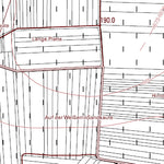 Dorn-Dürkheim 2 (1:5,000)