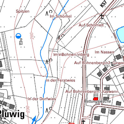 Pluwig (1:5,000)