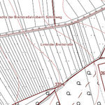 Kirchheimbolanden 1 (1:5,000)