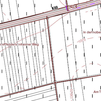 Hohen-Sülzen (1:5,000)