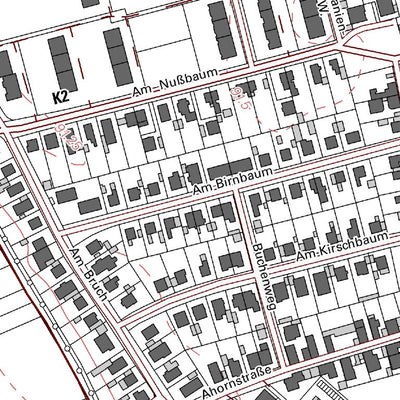 Frankenthal (Pfalz) 9 (1:5,000)