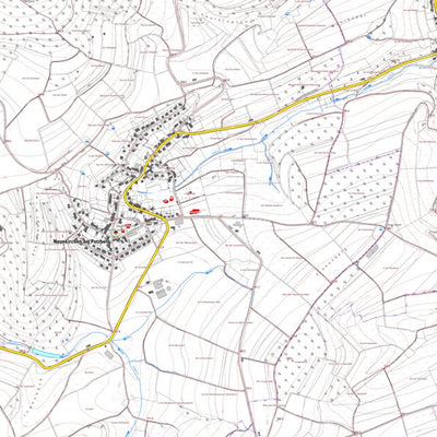 Neunkirchen am Potzberg (1:5,000)