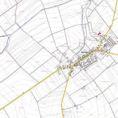 Biedesheim (1:5,000)