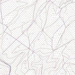 Neuleiningen 1 (1:5,000)