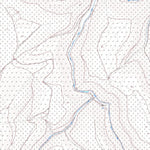 Bad Dürkheim 25 (1:5,000)