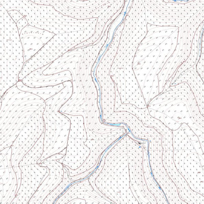 Bad Dürkheim 25 (1:5,000)