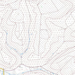 Kaiserslautern 10 (1:5,000)